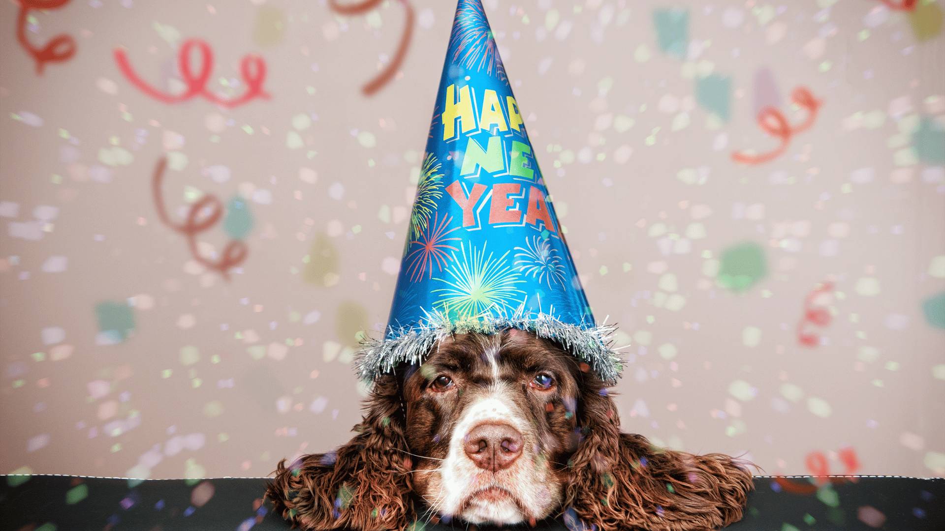 tips to protect your pets on new year